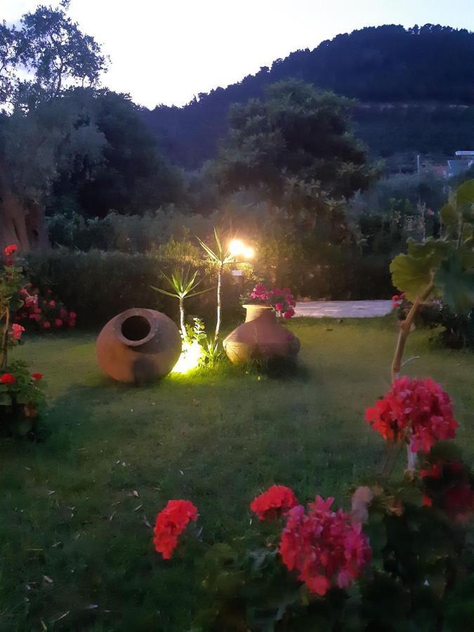 Nostos Studios Golden Beach Chrysi Ammoudia Exterior foto